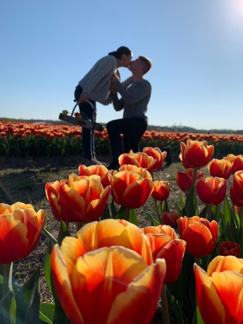 Engagement picture at a flower farm takenwith a regular phone from a low angle Try it yourself! #floral #proposal #engagement #proposalideas #love #engagementpics #loverboy #husband #fiance #tulips #tulipfarm #burnsidefarm Tulip Field Proposal, Flower Garden Proposal, Engagement Places, Floral Proposal, Flower Proposal, Spring Proposal, Tulips Field, Dream Proposal, Proposal Pictures