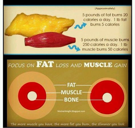 Get to the gym Fat Vs Muscle, Ozempic Diet, 21 Day Meal Plan, Strength And Conditioning, Nutrition Coaching, Health Fitness Inspiration, Pound Of Fat, Strength Conditioning, Healthy Motivation