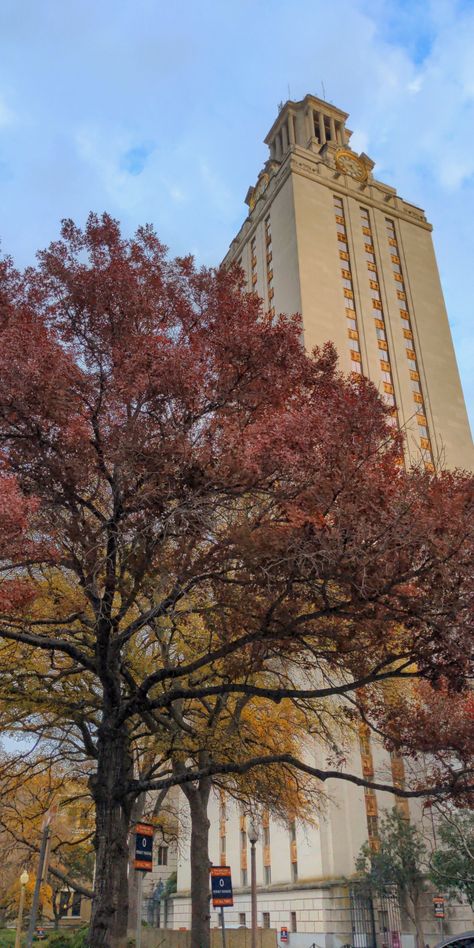 Red and yellow trees with the UT Austin Bell and clock tower. Austin Texas. Fall time. Blue sky and white fluffy clouds. Fall In Austin Texas, Ut At Austin, Ut Austin Aesthetic, Ut Aesthetic, Ut Austin Campus, Austin Aesthetic, Tennessee College, Ut Tower, Texas College