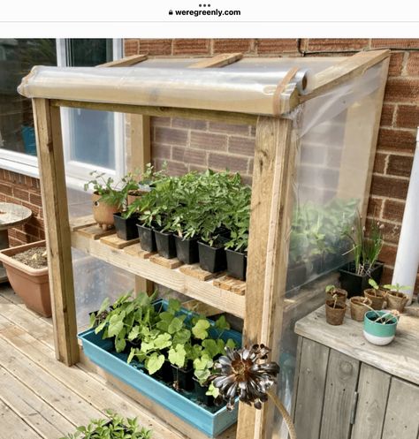 Diy Seedling Greenhouse, Pallet Cold Frame Diy Greenhouse, Diy Greenhouse For Seedlings, Greenhouse From Pallets, Diy Wood Greenhouse, Diy Pallet Greenhouse, Tiny Greenhouse Diy, Diy Small Greenhouse, Pallet Greenhouse