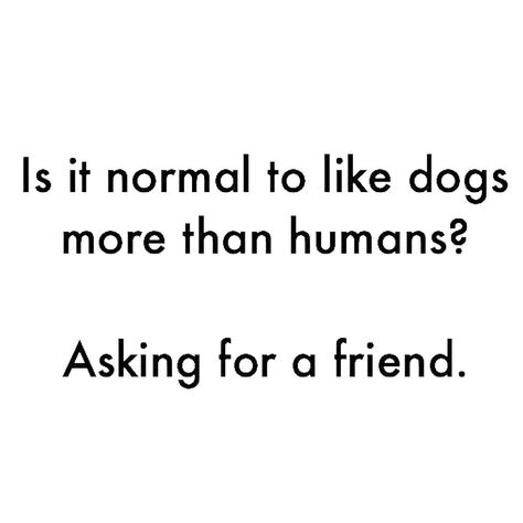 Bark Bistro Company on Instagram: “Well 🤷🏻‍♀️.... DOGS are LIFE! 🐶 LINK IN BIO TO SHOP. Let’s Be BFF’s #barkbistrobuds • • • • • • • • #barkbistro #askingforafriend…” Dog Lover Quotes, Love Pet, Dog Quotes, Instagram Captions, Dog Lovers, Inspirational Quotes, Let It Be, Dogs, Quotes