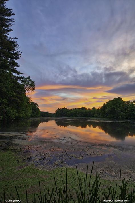 Awake My Soul - New England photography of a sunset at the Grist Mill Pond in Sudbury Massachusetts. #wallart #wallartdecor #wallartdecoration #wallartprints #naturephotography #fineartphotography Sudbury Massachusetts, Pond Photography, Awake My Soul, England Photography, Grist Mill, Photography Artwork, Happy Photos, Photography Images, Land Of The Free