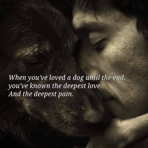 Dog Fostering Quotes, Poem For Losing A Dog, Pet Headstone Quotes, Soulmate Dog Quotes, Dog Euthanasia Quotes, Losing A Dog Quote, Losing A Dog Quotes Short, Rescue Dogs Quotes, Lost Dog Quotes