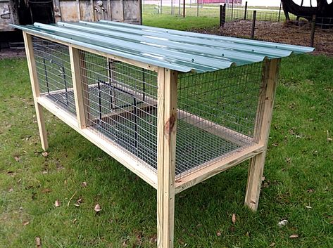 Chicken Cage Ideas, Indoor Hutch, Rabbit Cages Outdoor, Reban Ayam, Chickens Coop, Diy Rabbit Cage, Large Rabbit Hutch, Raising Rabbits For Meat, Diy Rabbit Hutch