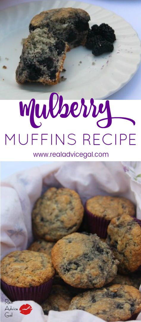 Mulberry Cookies Recipes, Mulberry Recipes Muffins, Mulberry Dessert Recipes, Mulberry Muffins Recipe, Mulberry Recipes Desserts, Mulberry Cupcakes, Mulberry Bread, Mulberries Recipes, Mulberry Muffins