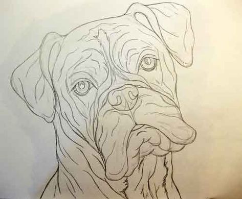 Dog Head Drawing, Boxer Dogs Art, Pitbull Art, Head Drawing, Dog Sketch, Animal Sketches, Dog Tattoos, Dog Drawing, Dog Paintings