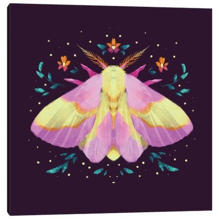 Jewel Moths - Rosy Maple Moth by Ffion Evans arrives ready to hang, with hanging accessories included and no additional framing required. Every canvas print is hand-crafted in the USA, made on-demand at iCanvas, and expertly stretched around 100% North American Pine wood stretcher bars. Maple Moth, Moth Art Print, Rosy Maple Moth, Lunar Moth, Tiger Moth, Insect Print, Moth Art, Gouache Art, 3 Piece Wall Art