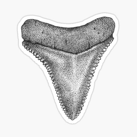 Shark Teeth Tattoo, Teeth Tattoo, Shark Tooth Tattoo, Tooth Sticker, Tooth Tattoo, Cute Tats, Stippling Art, Flash Sheet, Tattoo Flash Sheet