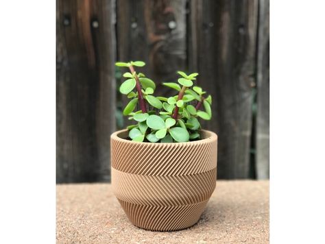 I prefer to think of this as "working smarter, not harder", but maybe I'm just lazy! I wanted a plant that didn't need a lot of care and I wanted to print a planter that didn't need any sanding or sealing to use. So naturally I decided to buy the "lazy person plant" (a succulent) and designed this planter where the original plastic pot just fit right into it! Of course, the plant may not grow as big as it could if I re-potted it, but that's fine by me. The standard size plastic pot that fits in 3d Print Planter, Printing Idea, Lazy People, Smarter Not Harder, Plastic Pots, File Free, Terracotta Pots, Succulent Planter, Sanding