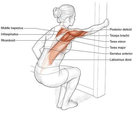 Lattisimus Dorsi Muscle, Latimuss Dorsi Workout, Latissimus Dorsi Stretch, Lattisimus Dorsi Exercise, Latissimus Dorsi Workout, Teres Major Muscle, Teres Major, Bursitis Shoulder, Quadratus Lumborum