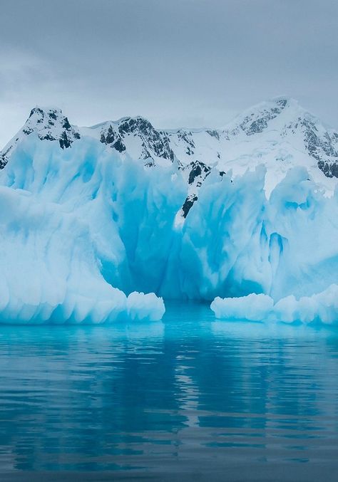 Paradise Bay was one of the last stops on the G Adventures tour I took to Antarctica in January. It was absolutely the best location we had for viewing sea ice. I feel the need to note that the blue colors you see in many of the images was not manipulated. The blues were literally that deep in color. Antarctica Travel, Sea Ice, Winter Nature, Adventure Tours, Photo Essay, Beautiful World, Beautiful Landscapes, Amazing Photography, Outdoors Adventure