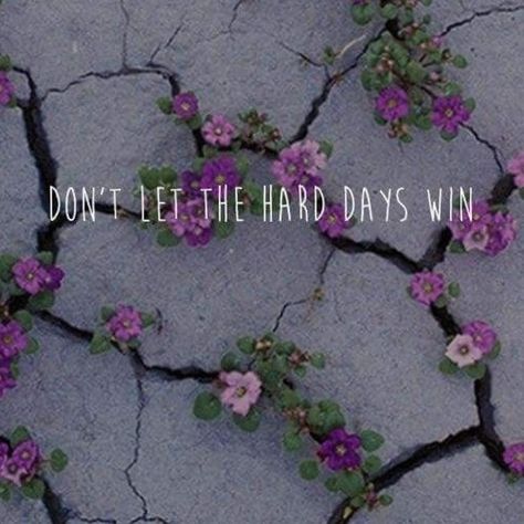 shelleyLOVEStaylor on Instagram: “Sometimes Mondays are the hard days. Let’s don’t let the hard days wins. #dontlettheharddayswin #encouragement #encourage #monday…” Dont Let The Hard Days Win Quotes, Don't Let The Hard Days Win, Iwatch Wallpapers, Hard Day Quotes, Winning Quotes, A Court Of Mist And Fury, Hard Days, Strong Quotes, Don't Let