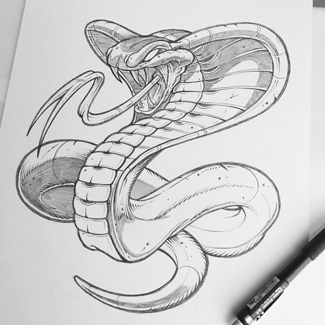 Finished up this weekend.  #cobra #pencil #illustration #snake #sketch #kingcobra #sweyda #studiolife #drawing #art #tattoo #snaketattoo #cobratattoo Slang Tattoo, Snake Sketch, Cobra Tattoo, Snake Drawing, Kunst Tattoos, Snake Art, Book Drawing, Realism Tattoo, Snake Tattoo