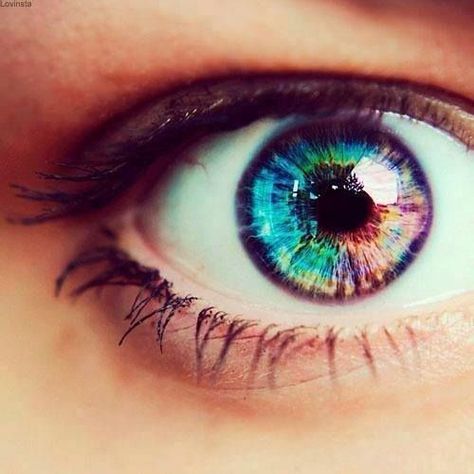 Rainbow iris | Sorceress eyes | Magic eyes | Elfin Eye Color Facts, Contact Lenses Tips, Black Contact Lenses, Iris Eye, Colored Eye Contacts, Tumblr Hipster, Beautiful Eyes Color, Beautiful Eyeshadow, Rainbow Eyes