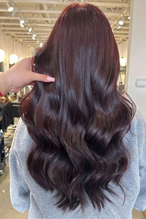 Chestnut Cherry Cola Hair Cola Hair, Cherry Cola Hair, Long Hair Care, Chestnut Hair, Inspo Pics, Cherry Cola, Going Viral, The Salon, Reference Photos