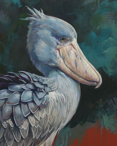 Shoebill Stork Art, Shoebill Stork Drawing, Ostrich Drawing, Macaw Painting, Shoebill Bird, Balaeniceps Rex, Shoebill Stork, Facial Structure, Scarlet Macaw