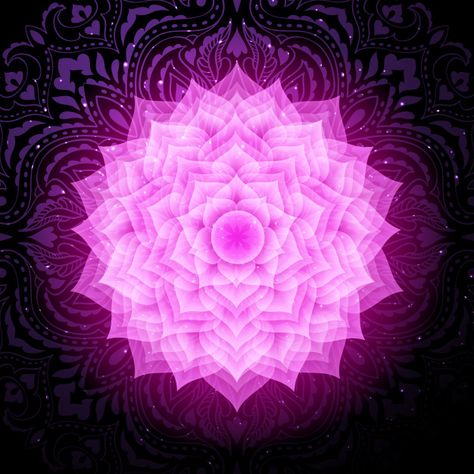 Swadhisthana Chakra, Sahasrara Chakra, Manipura Chakra, Anahata Chakra, Teal Swan, Chakra Symbols, Chakra Art, Mandala Background, Chakra System