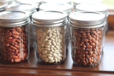 Health Benefits Of Beans, Canning Beans, Emergency Preparedness Food, Long Storage, Long Term Food Storage, Dry Beans, Northern Beans, Pole Beans, Garden Food