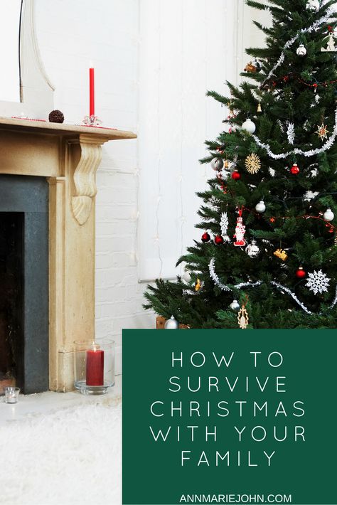 How to Survive Christmas with your Family Christmas With Family, Surviving Christmas, The Day After Christmas, Day After Christmas, Advice For New Moms, Simple Christmas Decor, How To Survive, December 25, The Day After