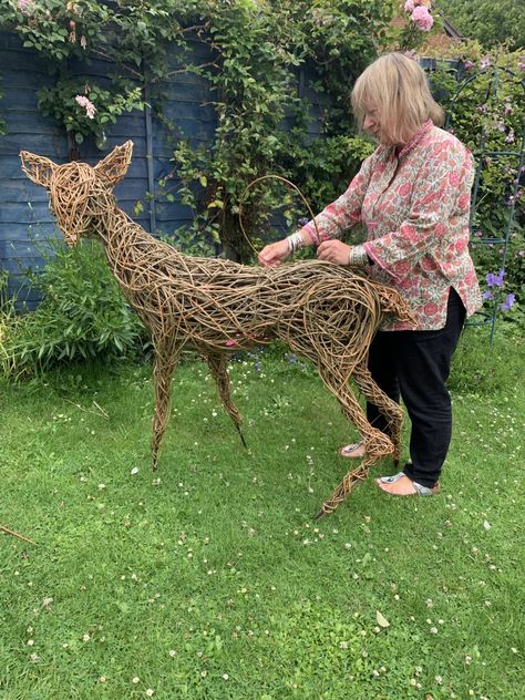 LEARN HOW TO CREATE A WILLOW DEER | Willowtwisters Online School of Willow Deer Sculpture, Willow Sculpture Diy, Willow Christmas Decorations, Grapevine Sculpture, Grapevine Projects, Weaving Willow, Willow Crafts, Creative Weaving, Willow Sculptures