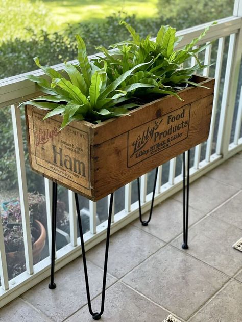 I found the perfect vintage crate and turned it into a modern planter with this easy DIY. You guys!!! Today I am sharing a vintage crate upcycle that may be my all-time favorite find EVER!I turned this vintage find into a modern planter.Take a peek, and I am sure you will see why I was so excited! For $35.00 price I was dancing with glee.Although I spell my name “Libbie,” and I was actually tormented as a child by the Libby’s jingle, I have always wanted to find one of these crates… Crate Upcycle, Vintage Crate, Modern Planter, Modern Plant Stand, Wooden Planter, Diy Plant Stand, Plant Stand Indoor, Front Porch Decorating, Decorative Planters