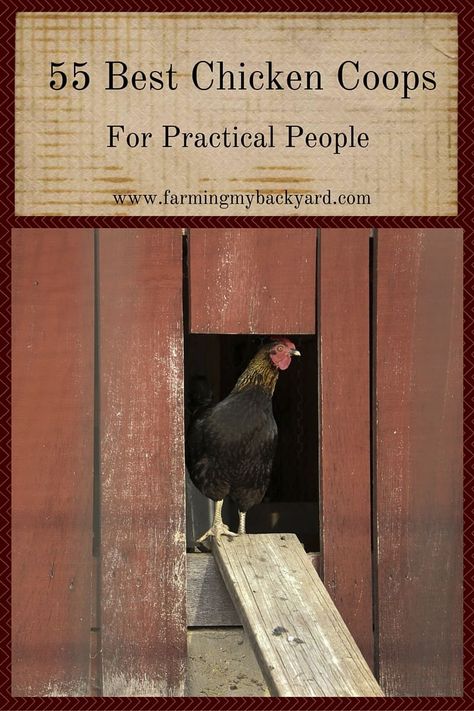 55 Best Chicken Coops for Practical People - Farming My Backyard Build A Chicken Coop, Chicken Roost, Portable Chicken Coop, Coop Design, Best Chicken Coop, Coops Diy, Chicken Coop Designs, Coop Plans, Keeping Chickens