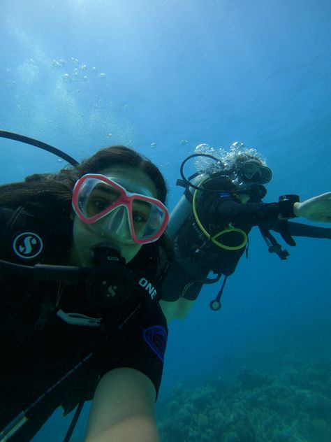 Diving, Red Sea, dive buddy Red Sea Snorkeling, Marine Biologist, Red Sea, Snorkeling, Under The Sea, Diving, Red