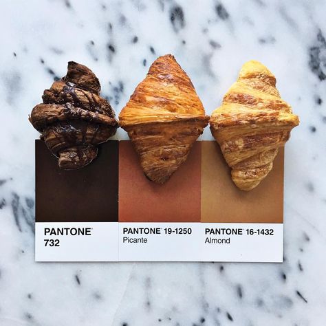 Fruit Palette, Pantone Colour Palettes, Coffee Shop Aesthetic, The Bakery, Coffeehouse, Food Pairings, Coffee And Books, Acoustic Panels, Self Control