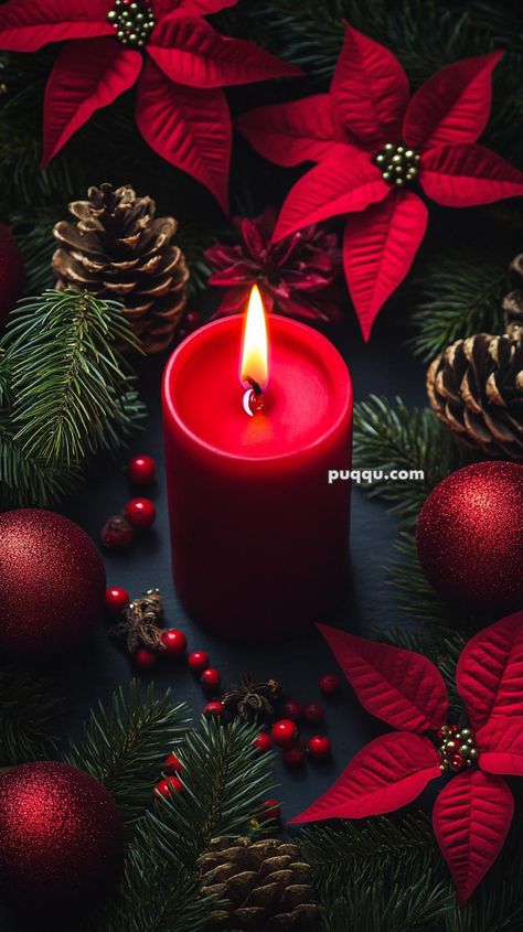 50 Ways to Make Your Christmas Dinner Extra Special Pointsetta Christmas, Phone Wallpaper Ideas, Christmas Wallpaper Ideas, Christmas Card Messages, Card Messages, Christmas Phone Wallpaper, Holiday Greetings, Wallpaper Ideas, Christmas Wallpaper