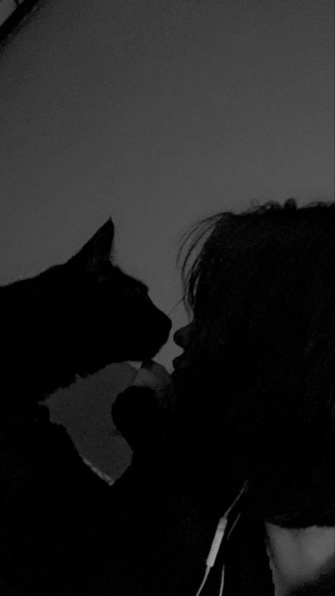 Cute Wallpaper Backgrounds Black, Black Wallpaper Aesthetic Iphone, Wallpaper Backgrounds Black, Black Wallpaper Aesthetic, Black And White Silhouette, Bad Cat, Backgrounds Black, Black Cat Aesthetic, Cat Dark