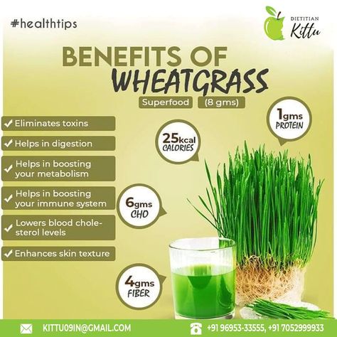 Wheatgrass Benefits, Wheat Plant, Wheatgrass Powder, Health Tonic, Lemon Detox, Food Health Benefits, Juice Fast, Anti Aging Food, Everyday Health