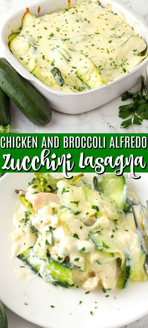 Low Carb Lasagna Recipe, Chicken And Broccoli Alfredo, Lasagna Chicken, Zucchini Chicken, Alfredo Lasagna, Chicken Broccoli Alfredo, Low Carb Lasagna, Broccoli Alfredo, Chicken Lasagna