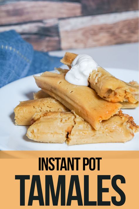 Instant Pot Chicken with Penne in Tomato Sauce<span data-pbs-title-marker-post-id="1558"></span> How To Cook Tamales, Instant Pot Tamales, Homemade Tamales, Tamale Recipe, Pork Loin Roast, Family Look, Tex Mex Recipes, Instant Recipes, Easy Instant Pot Recipes