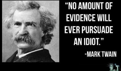 Mark Twain - No amount of evidence will ever persuade an idiot! Mark Twain Quotes, Quotes Wallpapers, Historical Quotes, Interesting Quotes, Philosophy Quotes, Mark Twain, Quotable Quotes, Wise Quotes, True Words