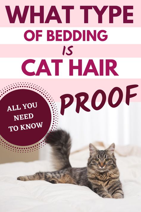 Cat Hair Proof Bedding | Cat Hair Resistant Bedding | How To Cat Proof Bed Pet Hair Resistant Bedding, How To Cat, Wide Eyes, Cut Cat, Cat Proofing, Cool Comforters, Book Recommendation, Rule The World, How To Dress A Bed