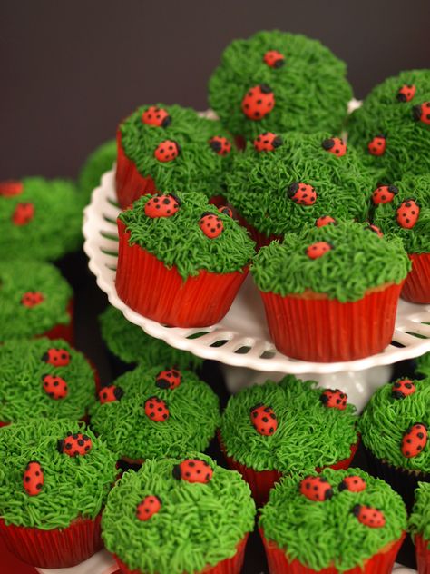 Ladybug cupcakes, so adorable Picnic Cupcakes Ideas, Ladybug Cupcakes Ideas, Ladybug Desserts, Cupcakes Ladybug, Cupcakes For Kids Birthday, Ladybug Party Ideas, Ladybug Themed Birthday Party, Easter Snack Ideas, Picnic Cupcakes