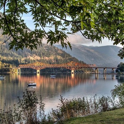 Madeleine Guenette on Instagram: "On Kootenay lake, Nelson, BC." Nelson Bc Canada, Canada Manifestation, Kootenays Bc, Nelson Canada, Kootenay Lake, Cabin Vibes, Nelson Bc, Canada Photos, Small Town Life