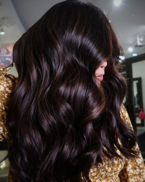 Shiny Dark Brown Hair Goal Espresso Hair Color, Hair Color Brown Chestnut, Rich Brown Hair, Dark Chocolate Hair, Hair Color Guide, Chestnut Brown Hair, Brown Hair Shades, Dark Brunette Hair, Hair 2022