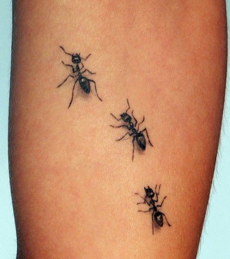 ant tattoo.  For Grandma Ant <3 Tato 3d, Ant Tattoo, Tier Tattoo, Bug Tattoo, Insect Tattoo, 3d Tattoos, Tattoo Bracelet, 3d Tattoo, Seni 3d