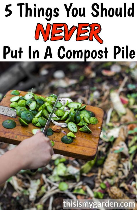 Backyard Compost, Composting Ideas, Veggies Garden, Drip Irrigation Diy, Backyard Aquaponics, Compost Bins, Compost Pile, Diy Compost, Vegetable Scraps