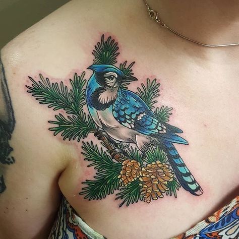 Bluejay Tattoo, Blue Jay Tattoo, Jay Tattoo, Bluebird Tattoo, Tattoo Chair, Soul Tattoo, Blue Jay Bird, Bird Tattoos, Nautical Tattoo