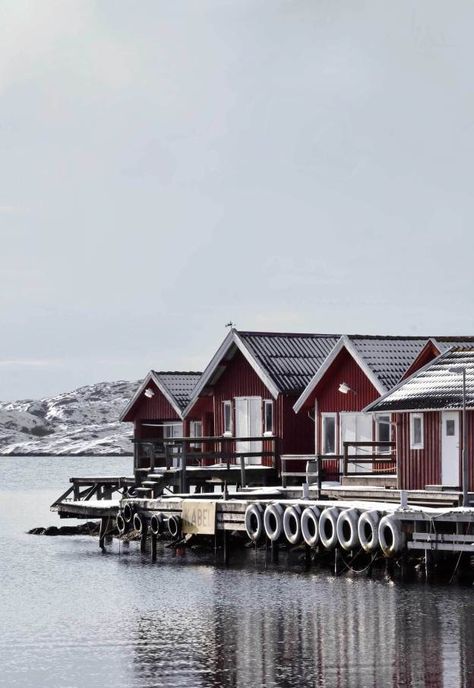 A winter road trip along West Sweden’s Bohuslän Coast | These Four Walls Winter Road Trip, Floating Hotel, Visit Sweden, Scandinavian Inspiration, Travel Vibes, Winter Road, Sweden Travel, Forest Road, Vacation Deals