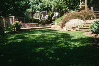 Shady lawn alternatives. Make your shady area the most beautiful place in your yard. Shade Lawn Alternative, Grass Alternative, Garden Shade, How To Garden, Lawn Alternatives, The Shade, Beautiful Place, Play Area, Shade Garden