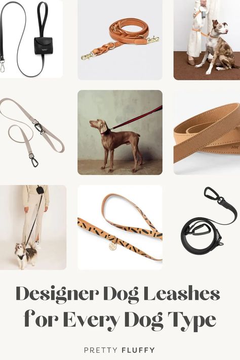 See our top picks of designer dog leashes for all breeds and sizes. Includes leather, fabric, rope and convertible dog leads and accessories. #dogleashes #bestdoglead #stylishdogs Best Dog Leash, Luxury Dog Accessories, Dog Lifestyle, Fabric Rope, Dog Leashes, Designer Dog, Modern Dog, Types Of Dogs, Dog Lead