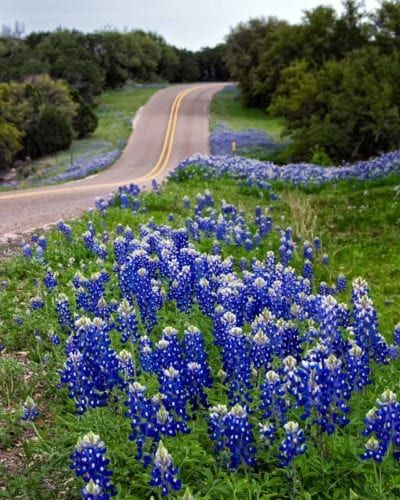 Roadside Landscape Design, Roadside Landscaping, Perenial Garden, Mailbox Garden, Soil Erosion, Plant Help, Erosion Control, Flower Plants, Flower Garden Design