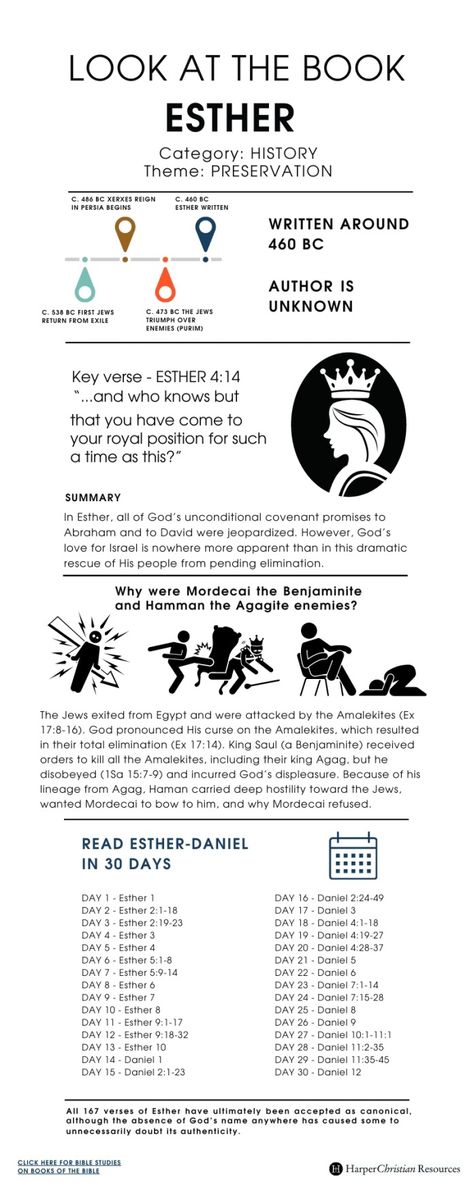 e Book Of Esther Bible Studies, Biblical Modesty, Bible Infographics, Esther Bible Study, Revelation Study, Bible Summary, Book Infographic, Esther Bible, Bible Charts