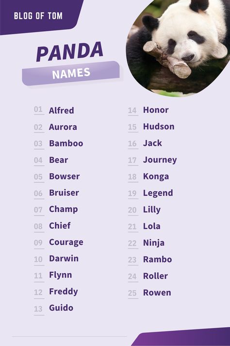 Looking for a unique name for your new panda? Check out this list of 459+ panda names. From funny to cute and everything in between, you're sure to find the perfect moniker for your fluffy one. #pandanames Animal Names Unique, Baby Red Panda, Spanish Study, Female Panda, Panda Names, Cute Pet Names, Red Panda Baby, Pokemon Names, Spirit Animal Totem