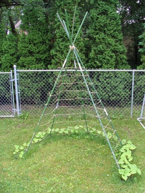 What a cute and cleaver idea! Clear around the planting area, for productive growth of the beans.  Greate hideaway for kids in the yard, leave the grass in the center. Pole Beans, Have Inspiration, School Garden, Green Garden, Veggie Garden, Gardening For Kids, Dream Garden, Hanging Plants, Garden And Yard