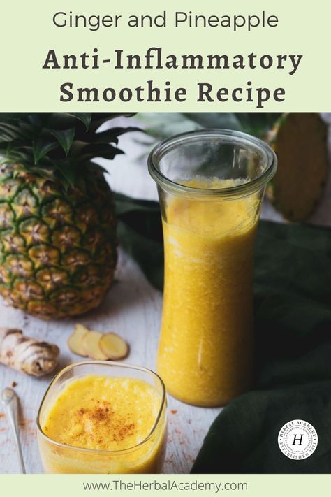 Ginger and Pineapple Anti-Inflammatory Smoothie  | Herbal Academy | This all-purpose, anti-inflammatory smoothie featuring pineapple, ginger, and turmeric is both tasty and beneficial. Inflammation Smoothie, Ginger Pineapple, Ginger Detox, Herbal Academy, Pineapple Ginger, Anti Inflammation Recipes, Turmeric Smoothie, Ginger Smoothie, Fresh Pineapple