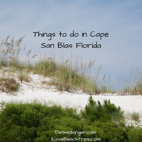 Things To Do In Cape San Blas Florida: https://denisesanger.com/things-to-do-in-cape-san-blas-florida/ #capesanblas #capesanblasvactions #floridabeaches #floridavacations #beachvacations Best Florida Vacations, Cape San Blas Florida, Florida Beaches Vacation, Cape San Blas, San Blas, Beach Vacations, Most Beautiful Beaches, Florida Vacation, Florida Beaches